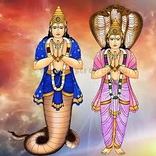 Rahu Transit in Capricorn 2026: Date, Effects for All 12 Lagnas & Ketu Transit